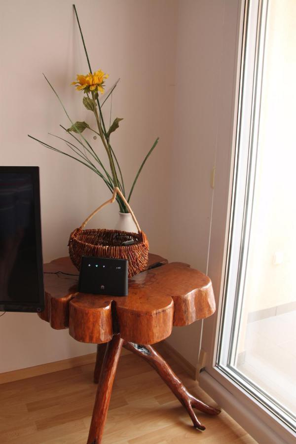 ז'אבוריץ' Gallery Apartman Nada מראה חיצוני תמונה